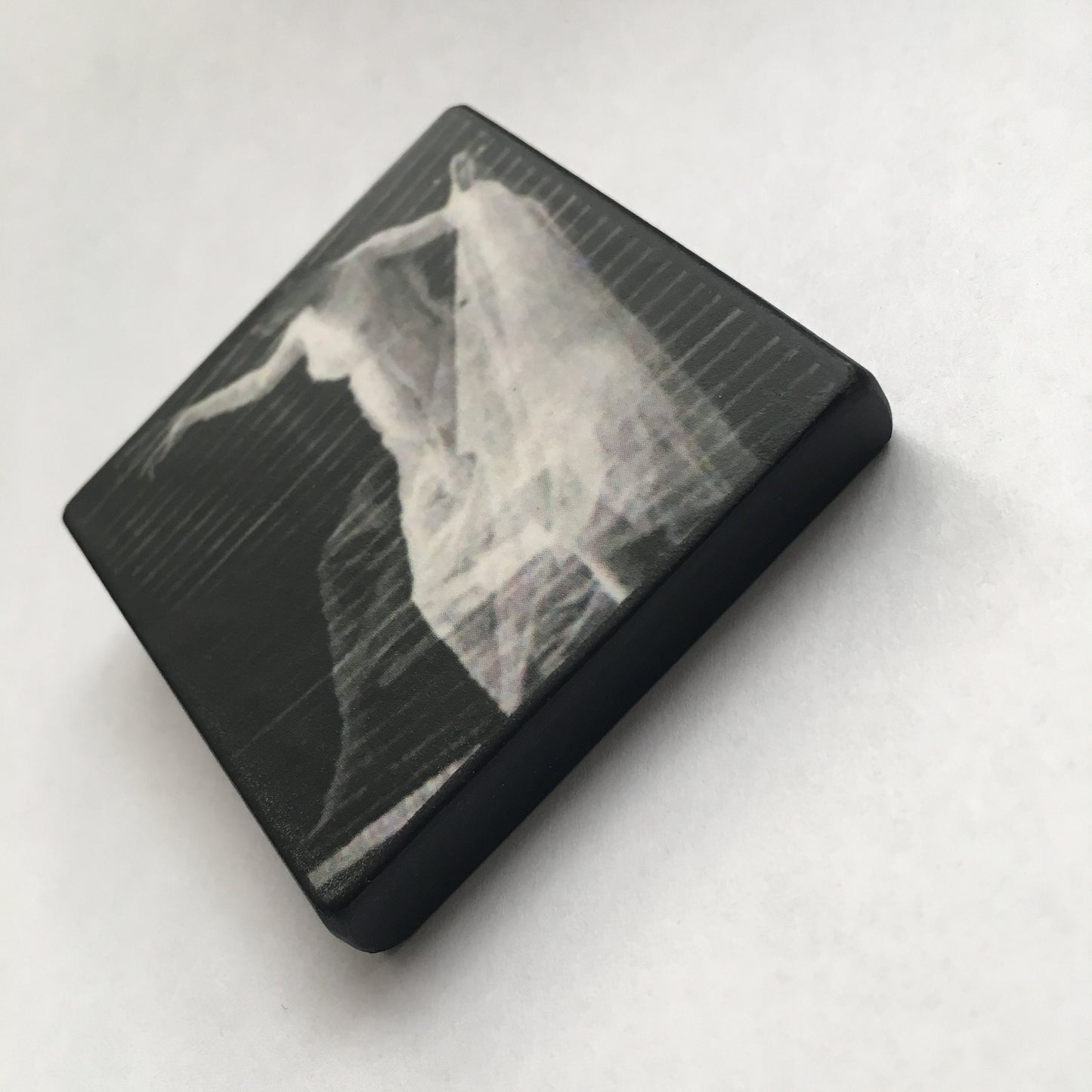Wooden artsy brooch. Muybridge photo art, quirky unique gift.