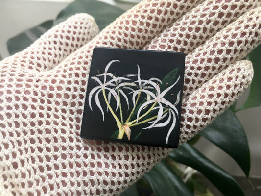 Brooch pin with Floral collage detail by Mary Delany. This brooch is handmade in sustainable wood