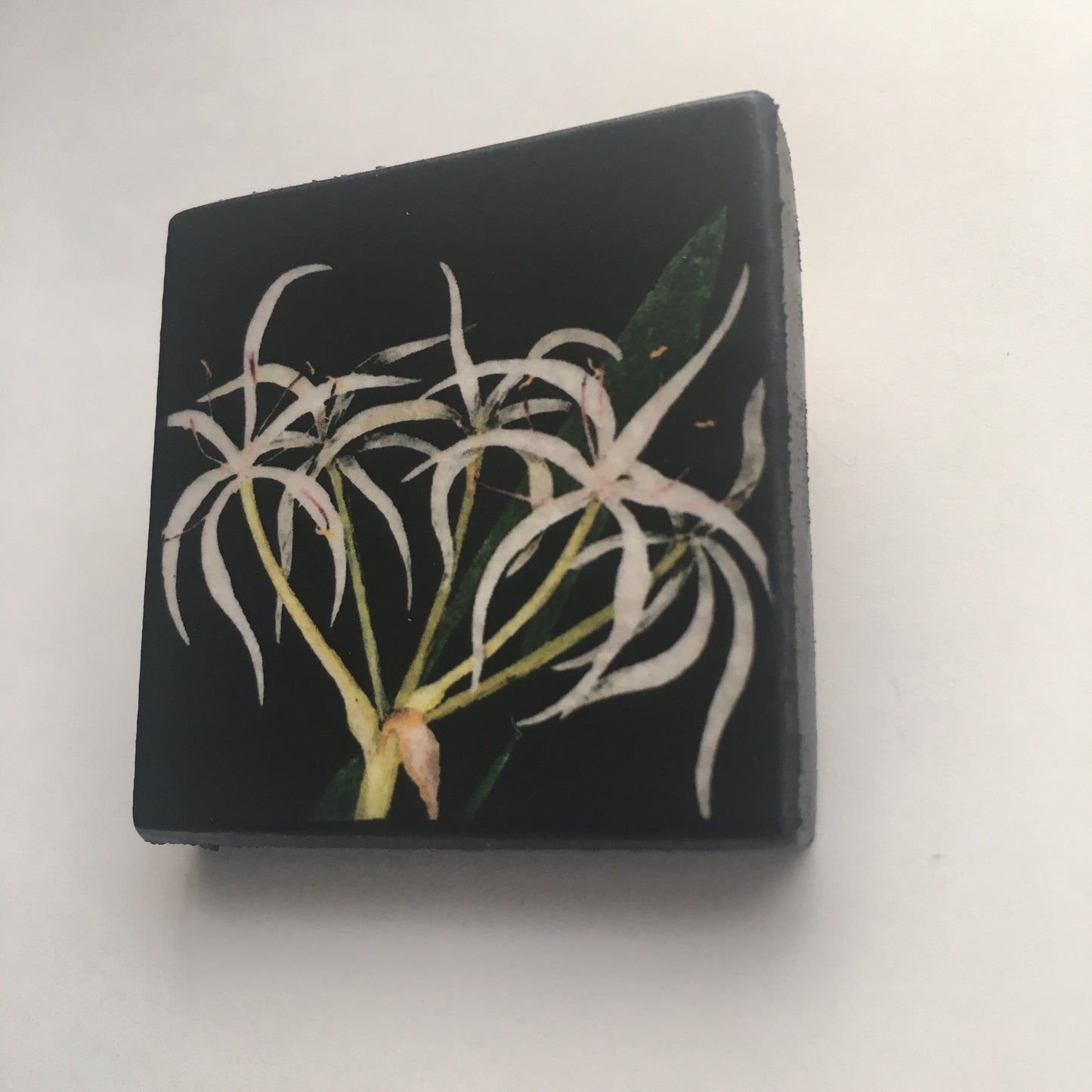 Mary Delany inspired brooch jewellery.