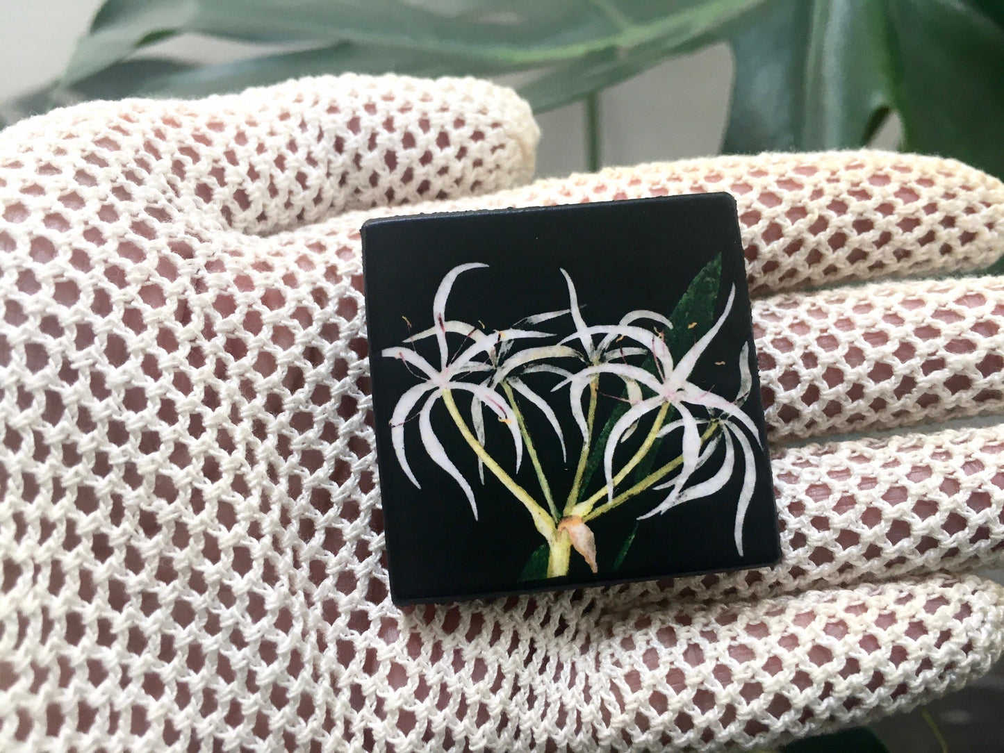 Brooch pin with Floral collage detail by Mary Delany. This brooch is handmade in sustainable wood