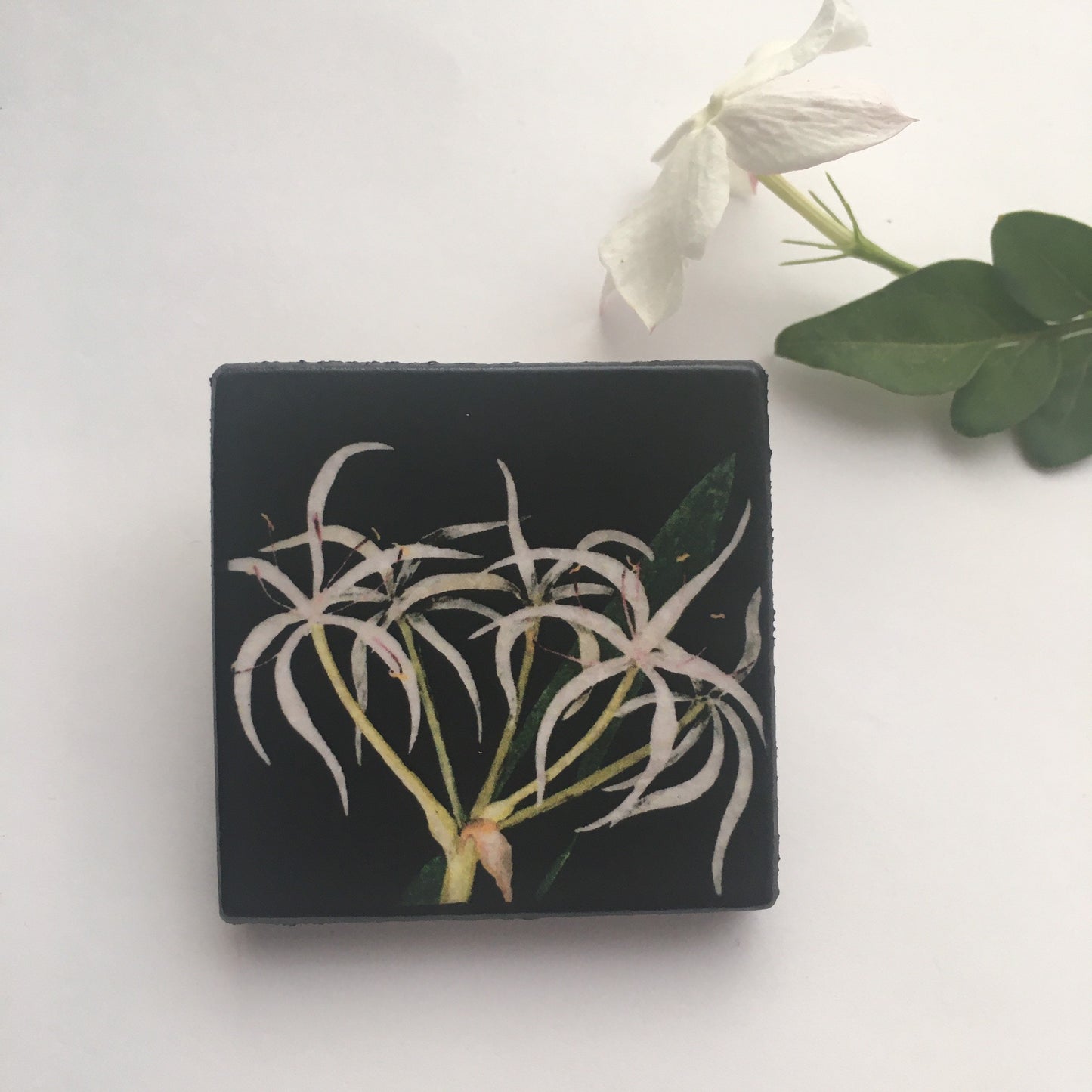 Mary Delany inspired brooch jewellery.