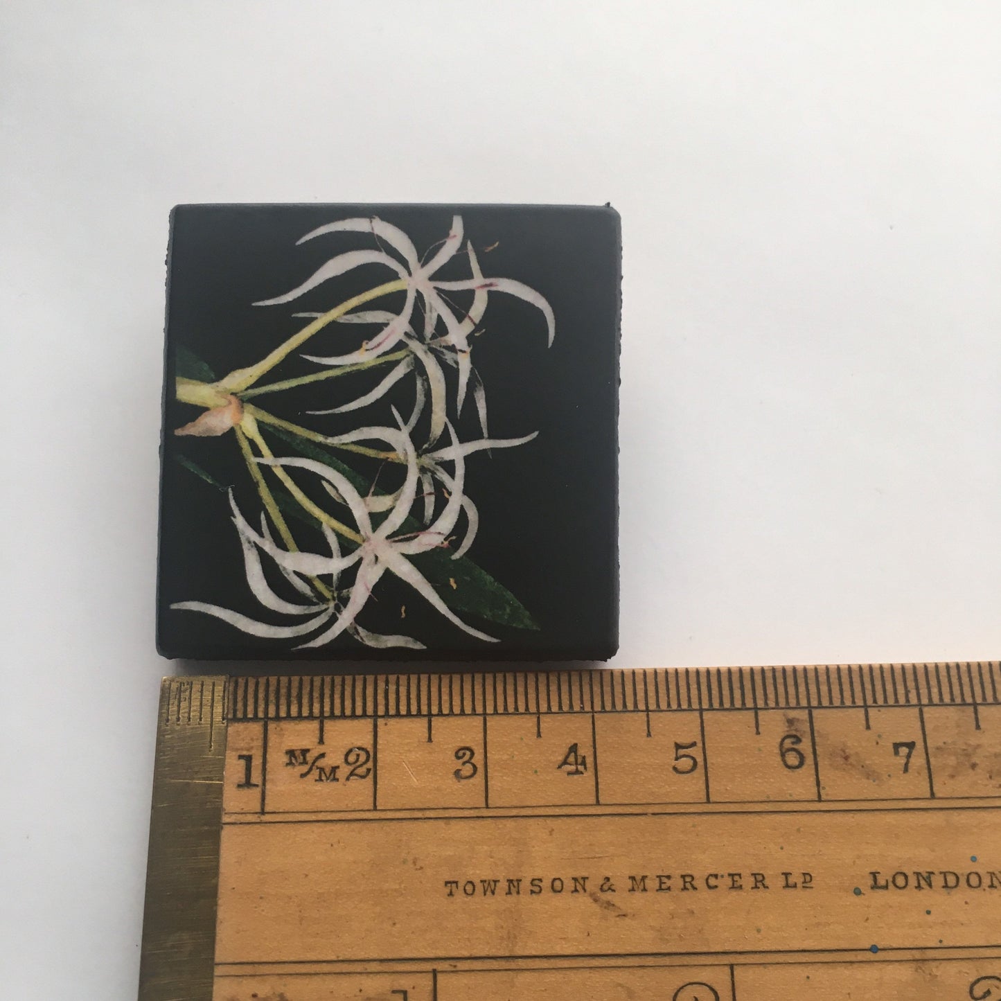 Mary Delany inspired brooch jewellery.