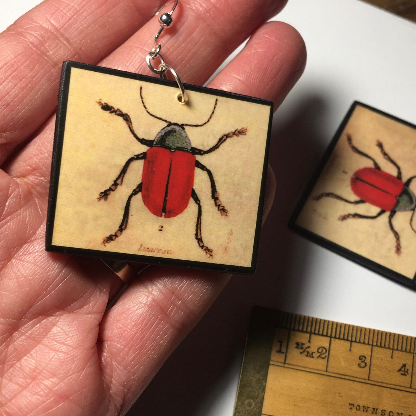 Insect earrings, vintage art illustration, wooden art earrings, alternative girl gift.