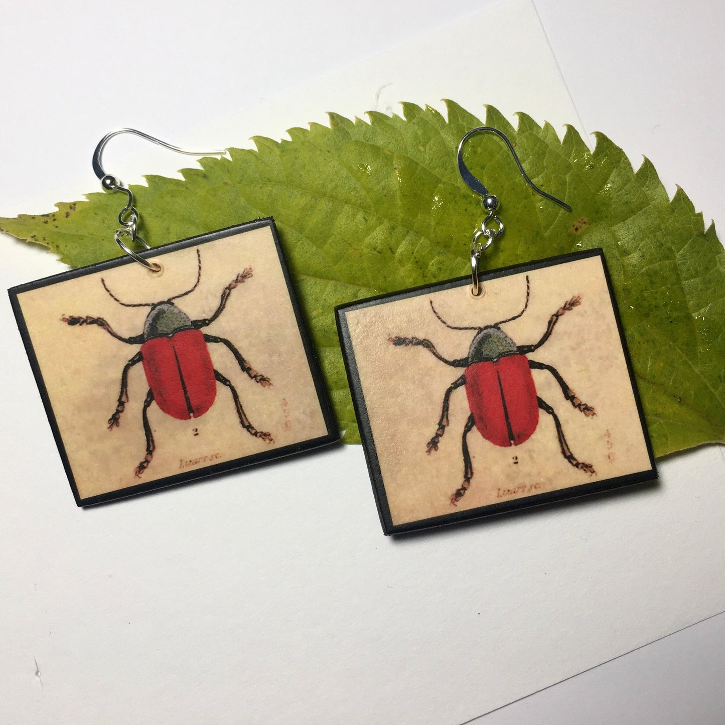 Insect earrings, vintage art illustration, wooden art earrings, alternative girl gift.