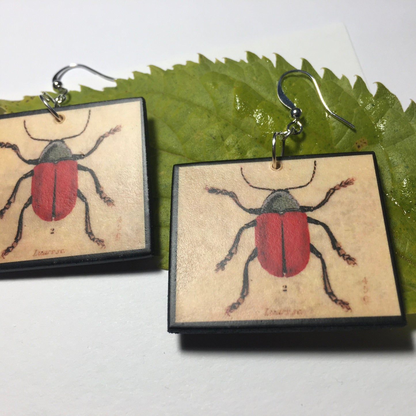Insect earrings, vintage art illustration, wooden art earrings, alternative girl gift.