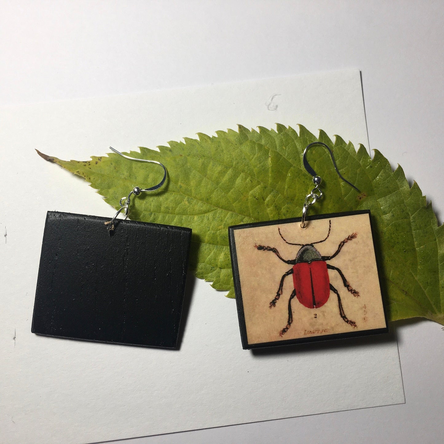 Insect earrings, vintage art illustration, wooden art earrings, alternative girl gift.