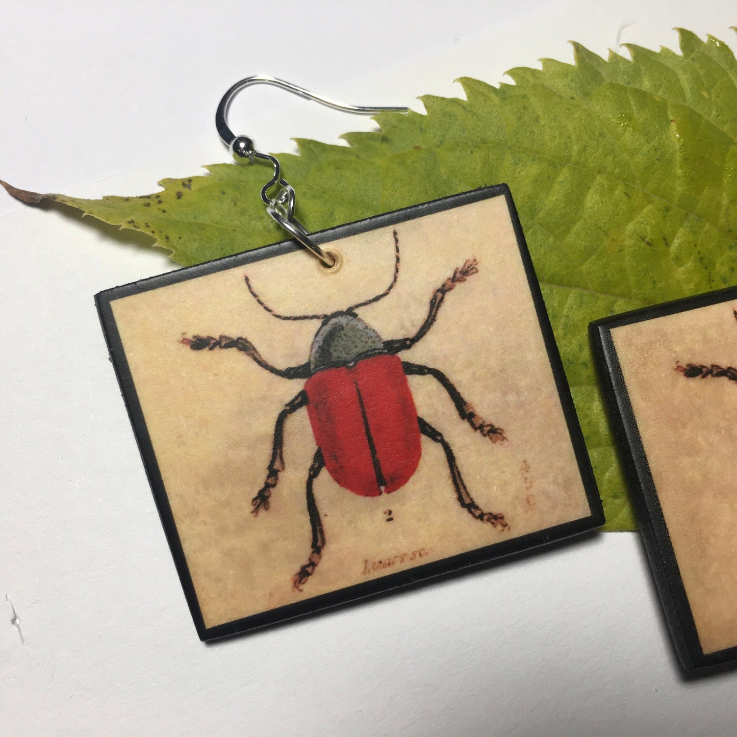 Insect earrings, vintage art illustration, wooden art earrings, alternative girl gift.
