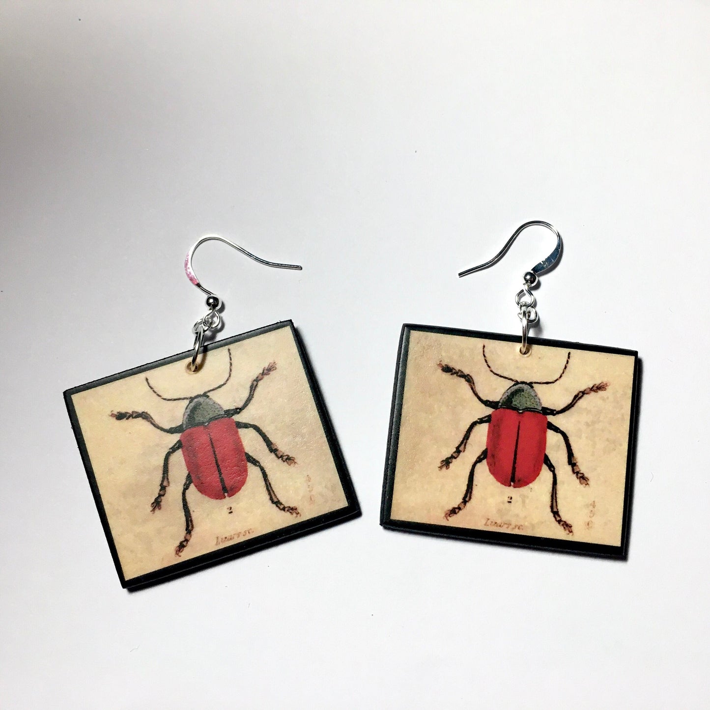 Insect earrings, vintage art illustration, wooden art earrings, alternative girl gift.