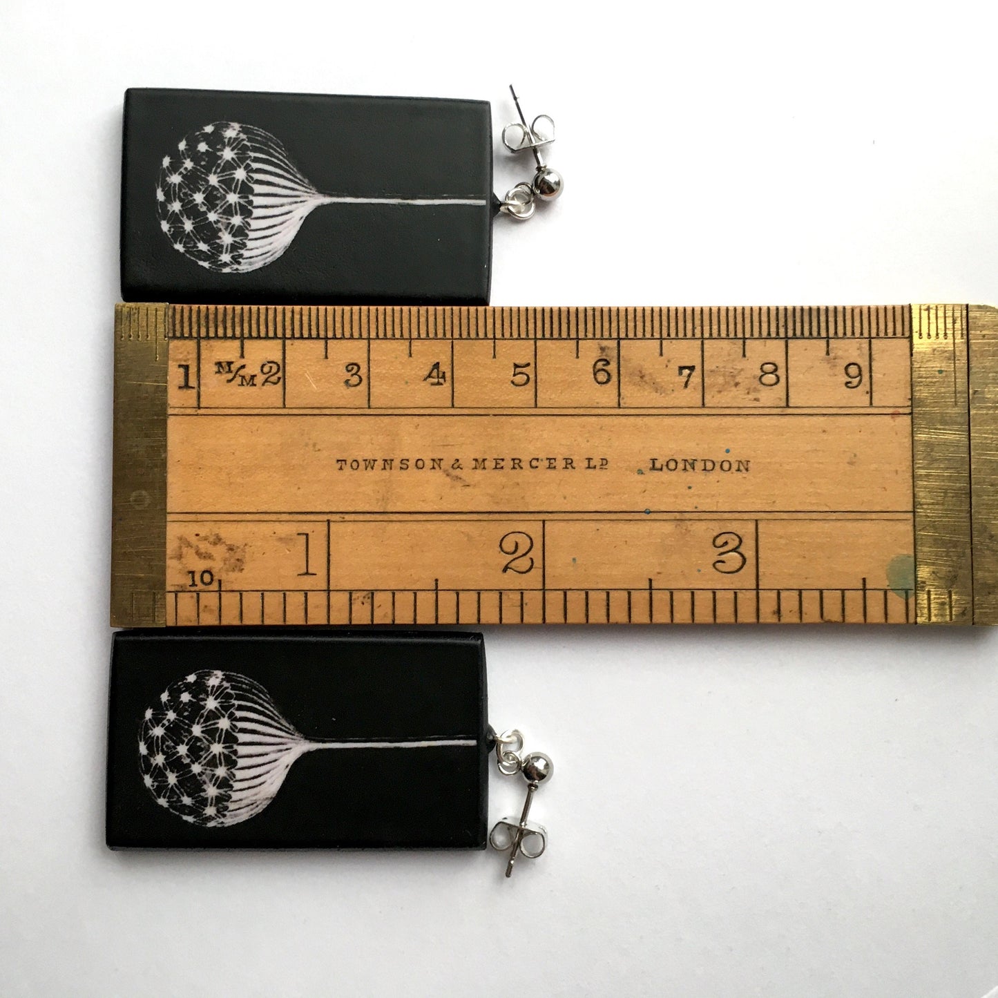 Earrings on wood inspired by Ernst Haeckel illustration