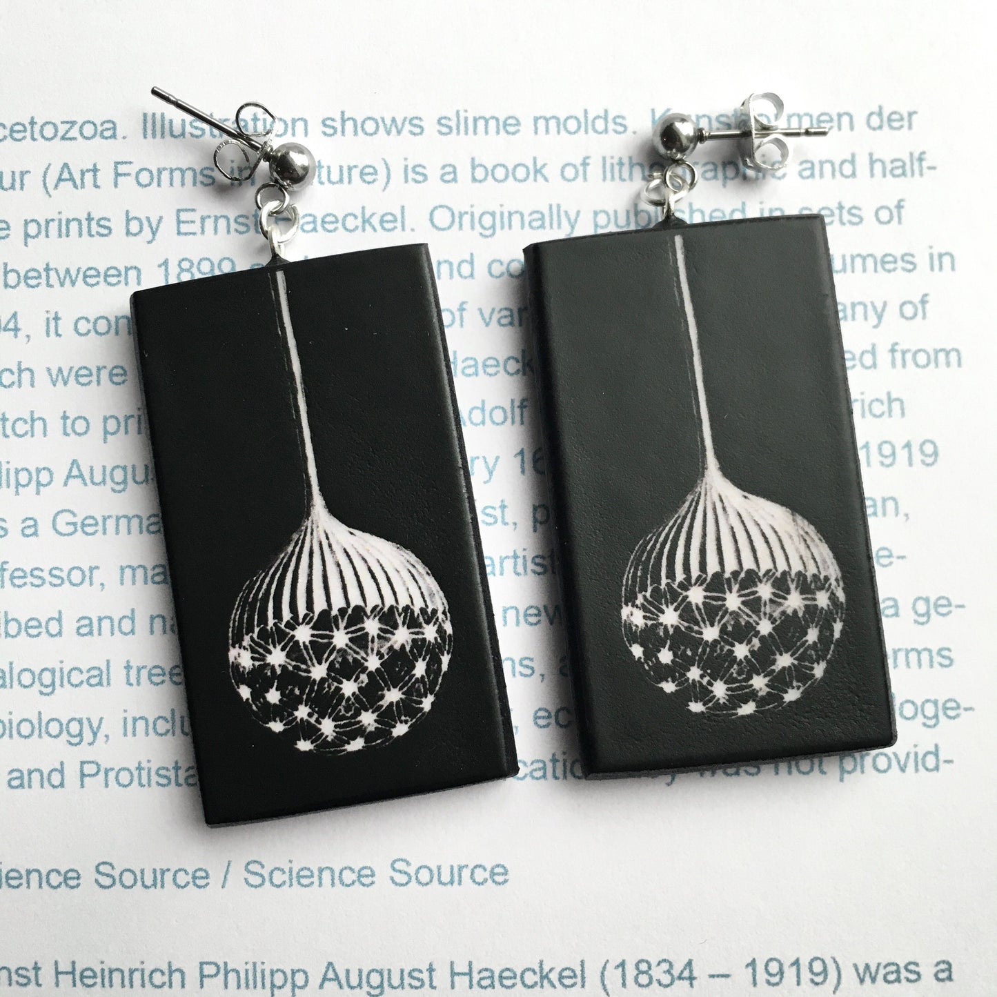 Earrings on wood inspired by Ernst Haeckel illustration