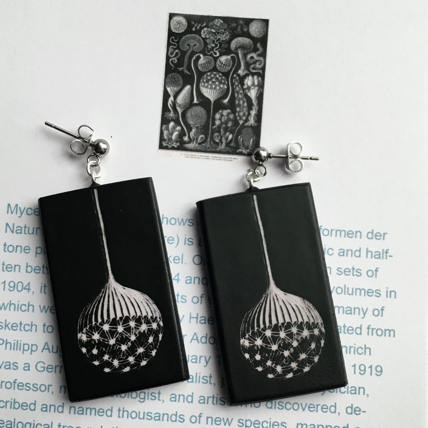 Black and white silver stud earrings on wood inspired by Ernst Haeckel scientific illustration Mycetozoa from Art Forms in Nature.