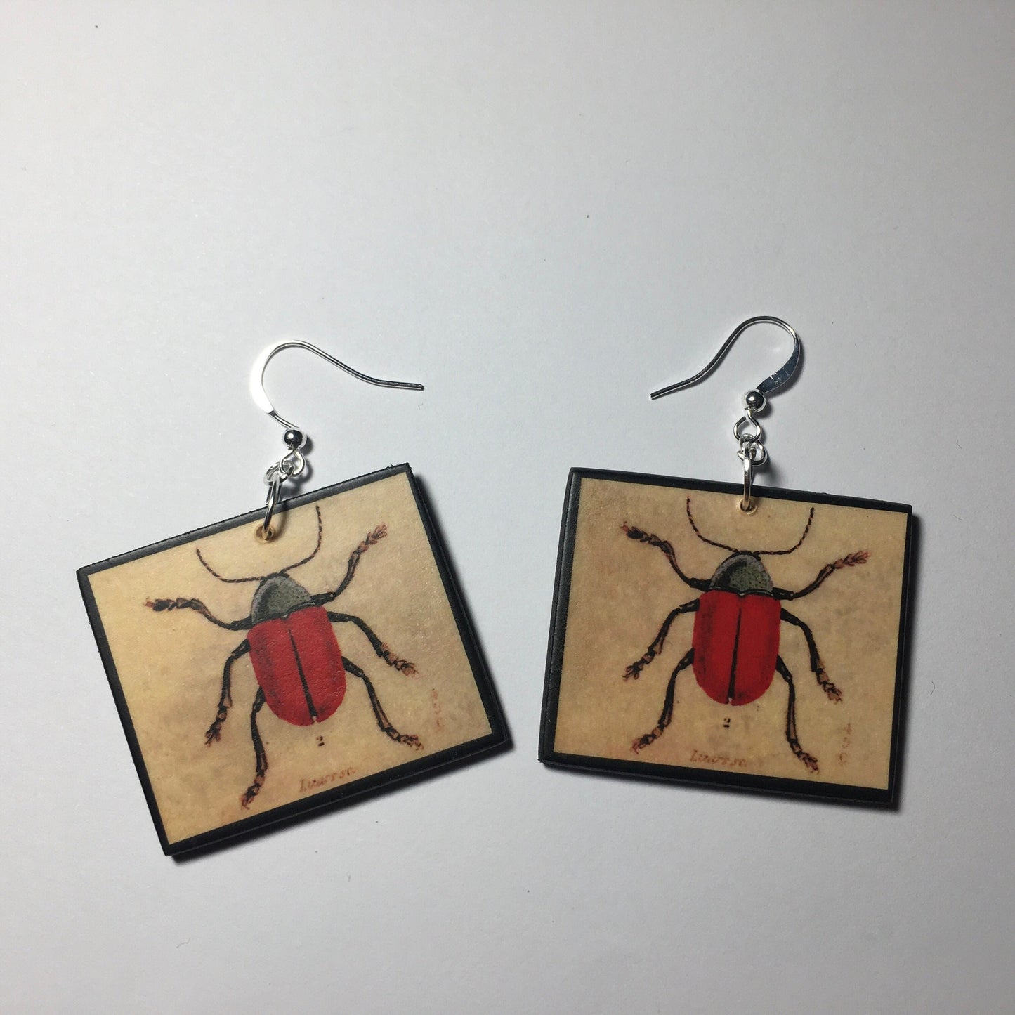 Insect earrings, vintage art illustration, wooden art earrings, alternative girl gift.