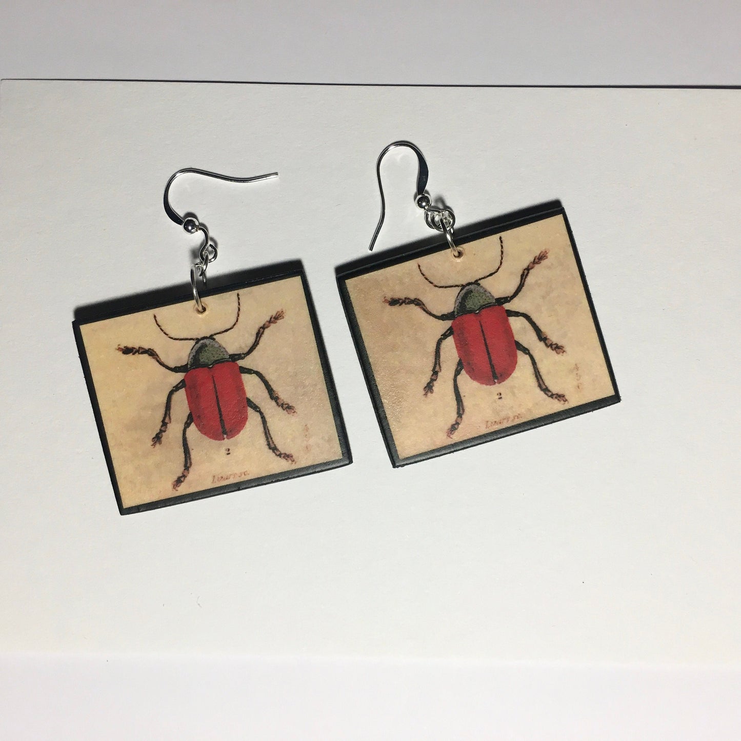 Insect earrings, vintage art illustration, wooden art earrings, alternative girl gift.