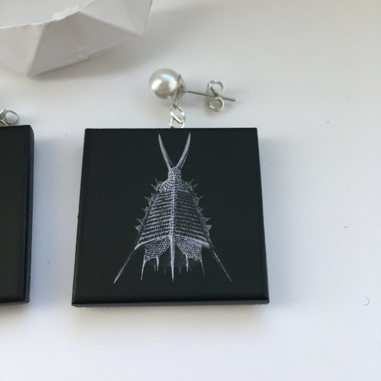 Sustainable wood earrings with stud pearls inspired by Ernst Haeckel marine shells, radiolaria black and white illustration. These earrings are completely handmade by Obljewellery
