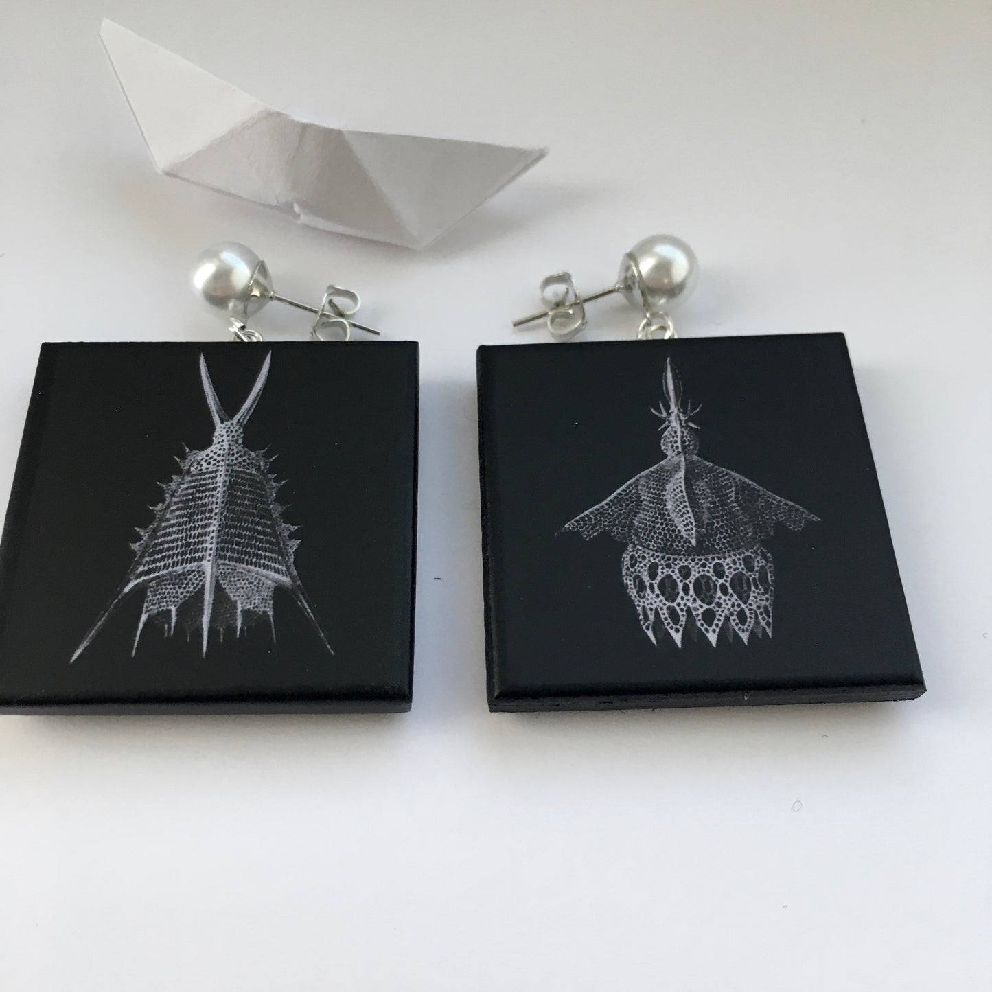 Sustainable wood earrings with stud pearls inspired by Ernst Haeckel marine shells, radiolaria black and white illustration. These earrings are completely handmade by Obljewellery