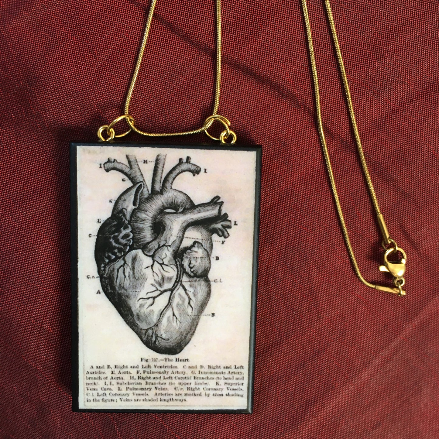 Anatomical heart necklace