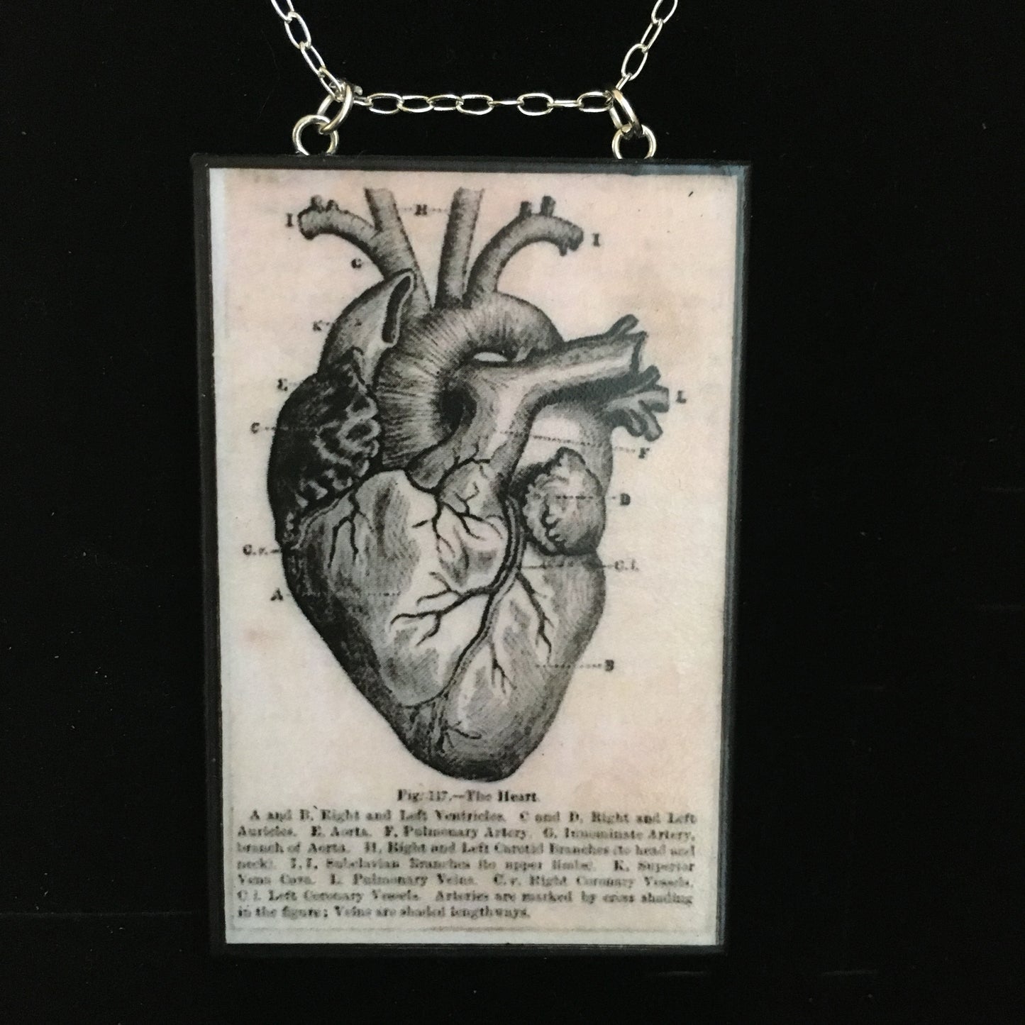 Anatomical heart necklace