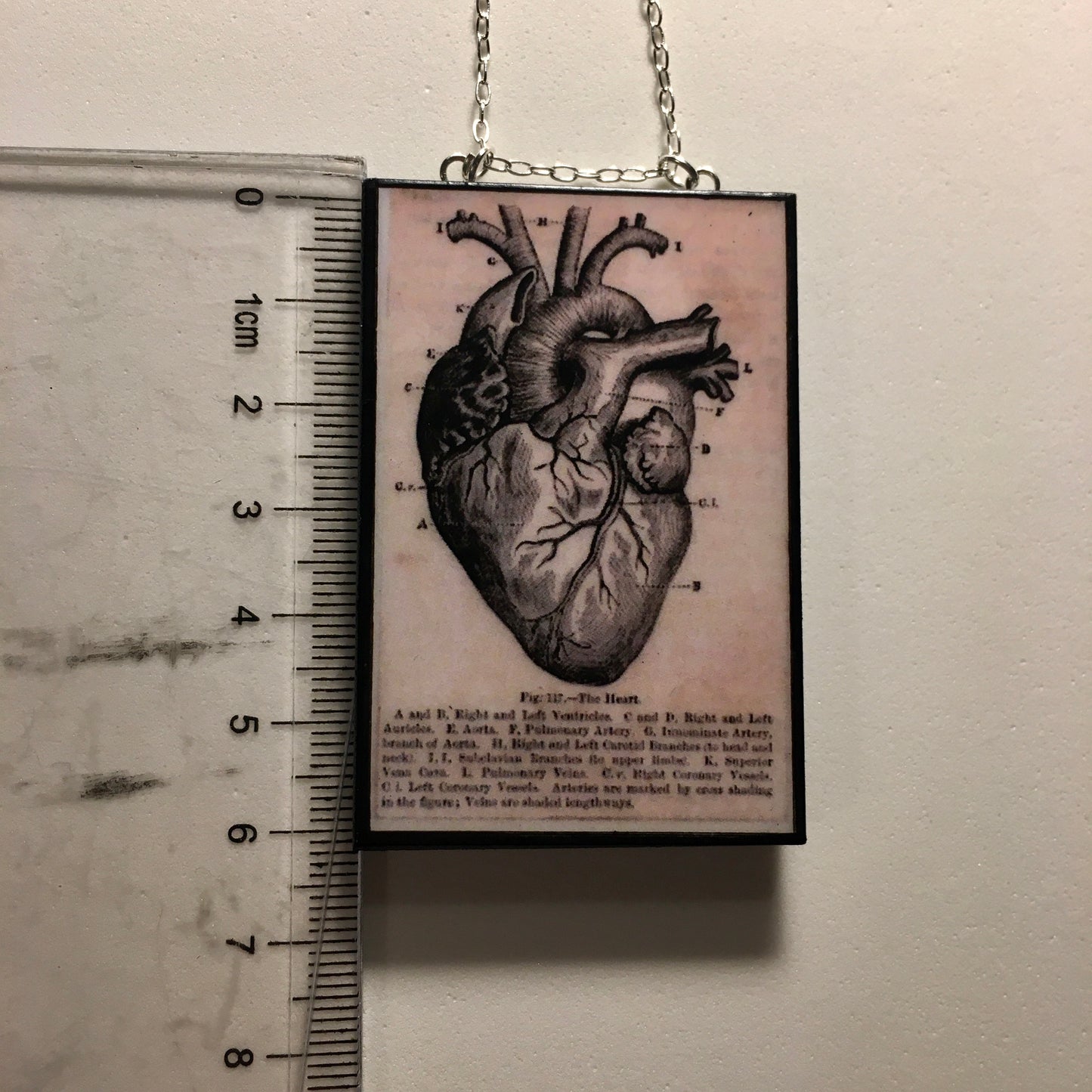 Anatomical heart necklace