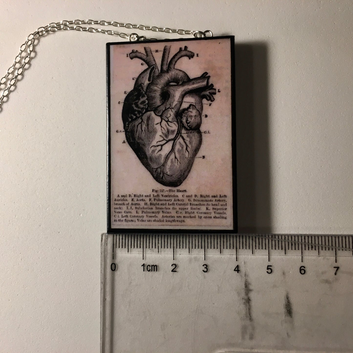 Anatomical heart necklace