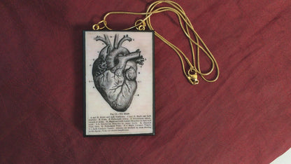 Collar de corazón anatómico