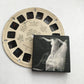 Wooden artsy brooch. Muybridge photo art, quirky unique gift.