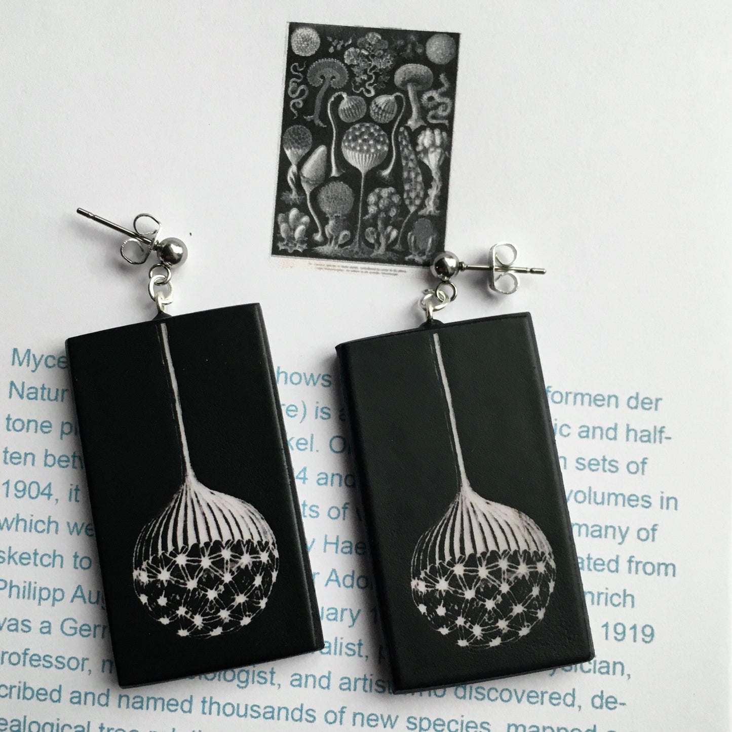 Black and white silver stud earrings on wood inspired by Ernst Haeckel scientific illustration Mycetozoa from Art Forms in Nature. 