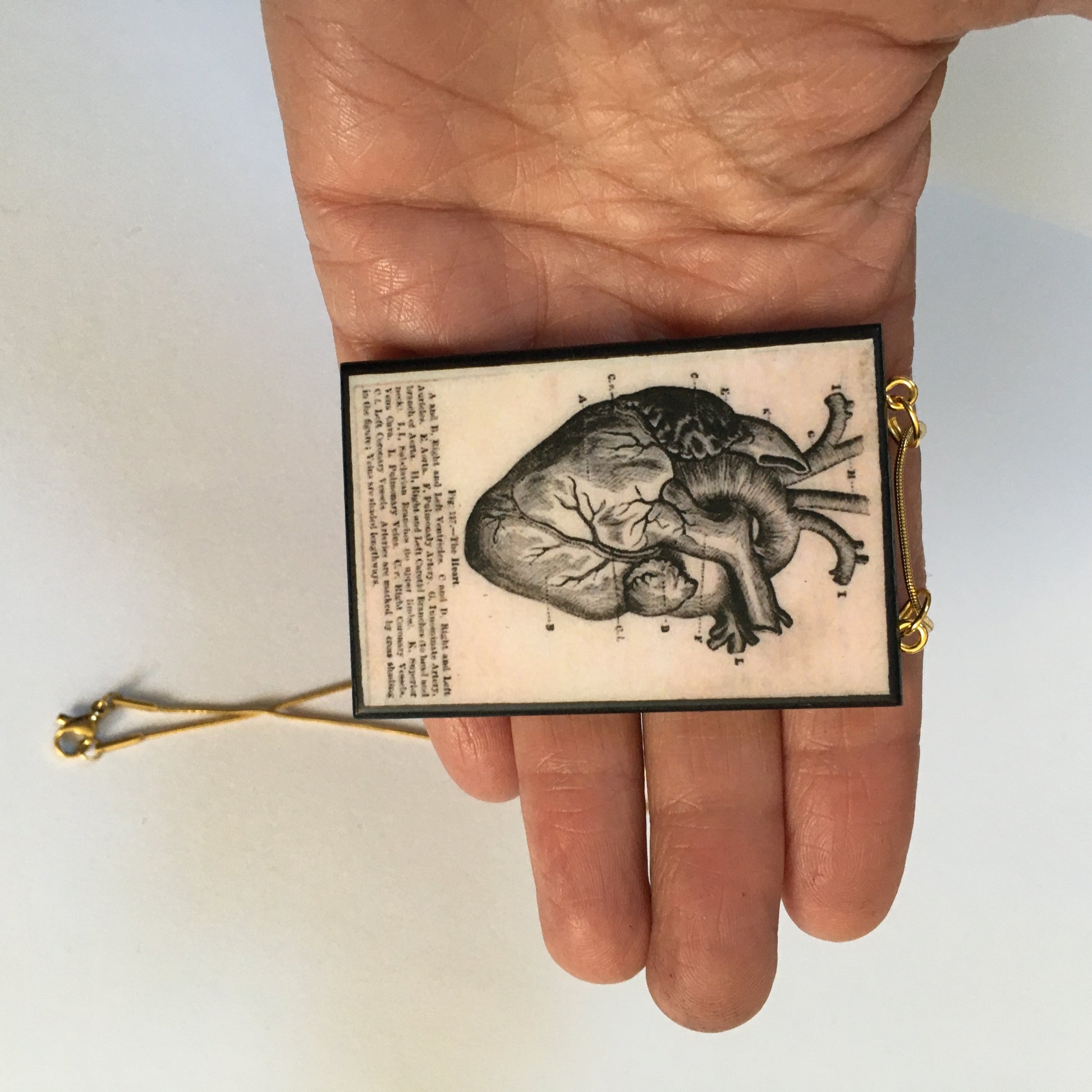 Museum-Inspired Sustainable Necklace Anatomical heart necklace Obljewellery