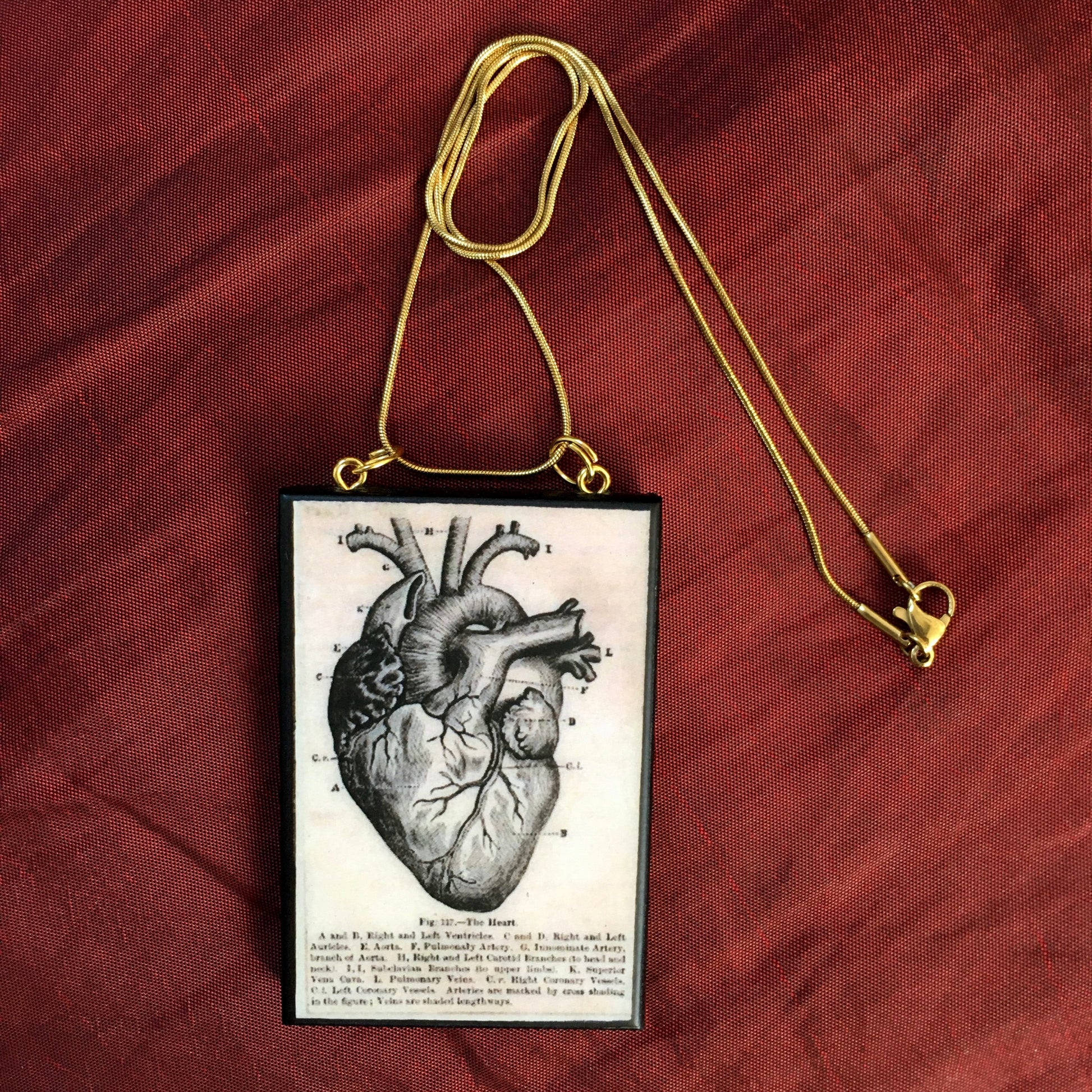 Museum-Inspired Sustainable Necklace Anatomical heart necklace Obljewellery