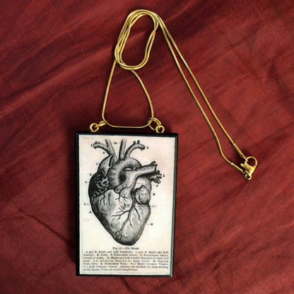 Museum-Inspired Sustainable Necklace Anatomical heart necklace Obljewellery