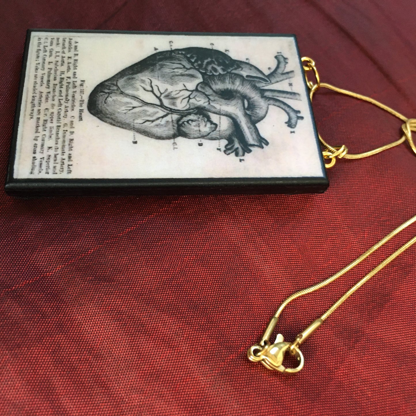 Museum-Inspired Sustainable Necklace Anatomical heart necklace Obljewellery