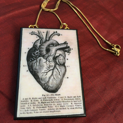Museum-Inspired Sustainable Necklace Anatomical heart necklace Obljewellery