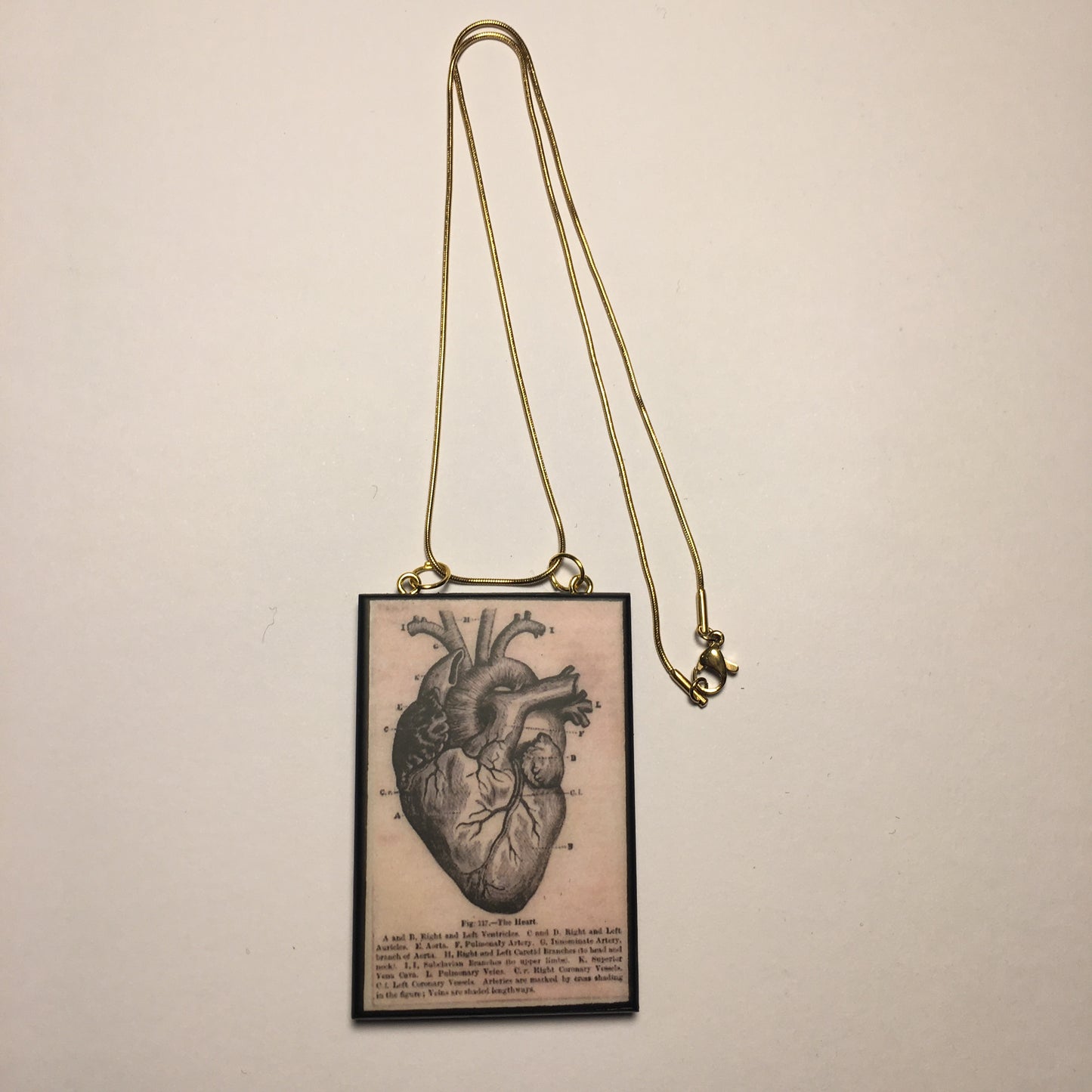 Museum-Inspired Sustainable Necklace Anatomical heart necklace Obljewellery