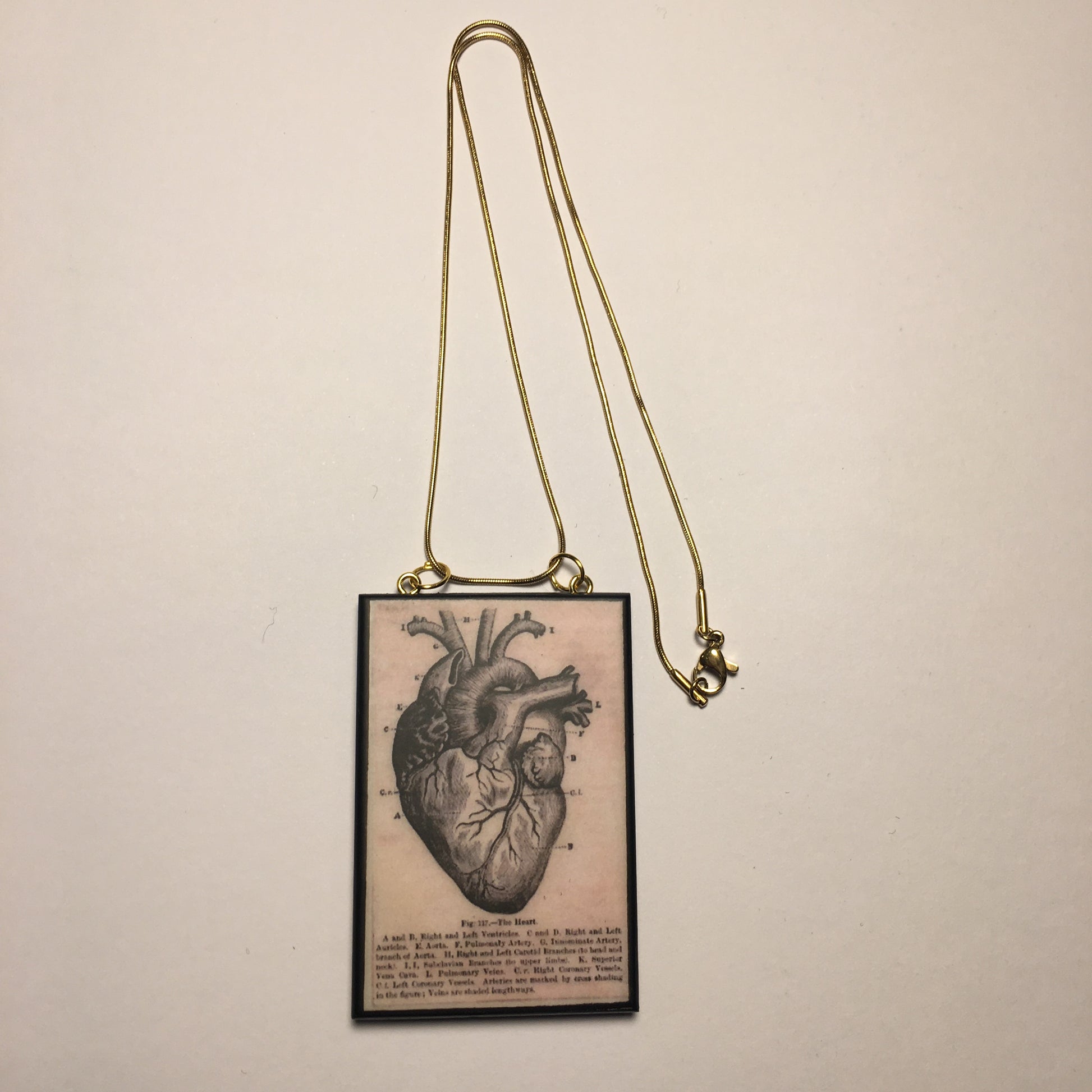 Museum-Inspired Sustainable Necklace Anatomical heart necklace Obljewellery