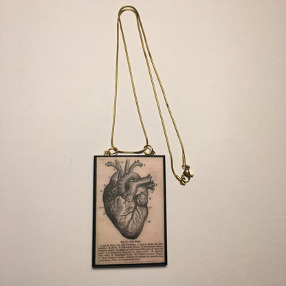 Museum-Inspired Sustainable Necklace Anatomical heart necklace Obljewellery