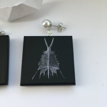 Museum-Inspired Sustainable Earrings Ernst Haeckel art earrings Obljewellery