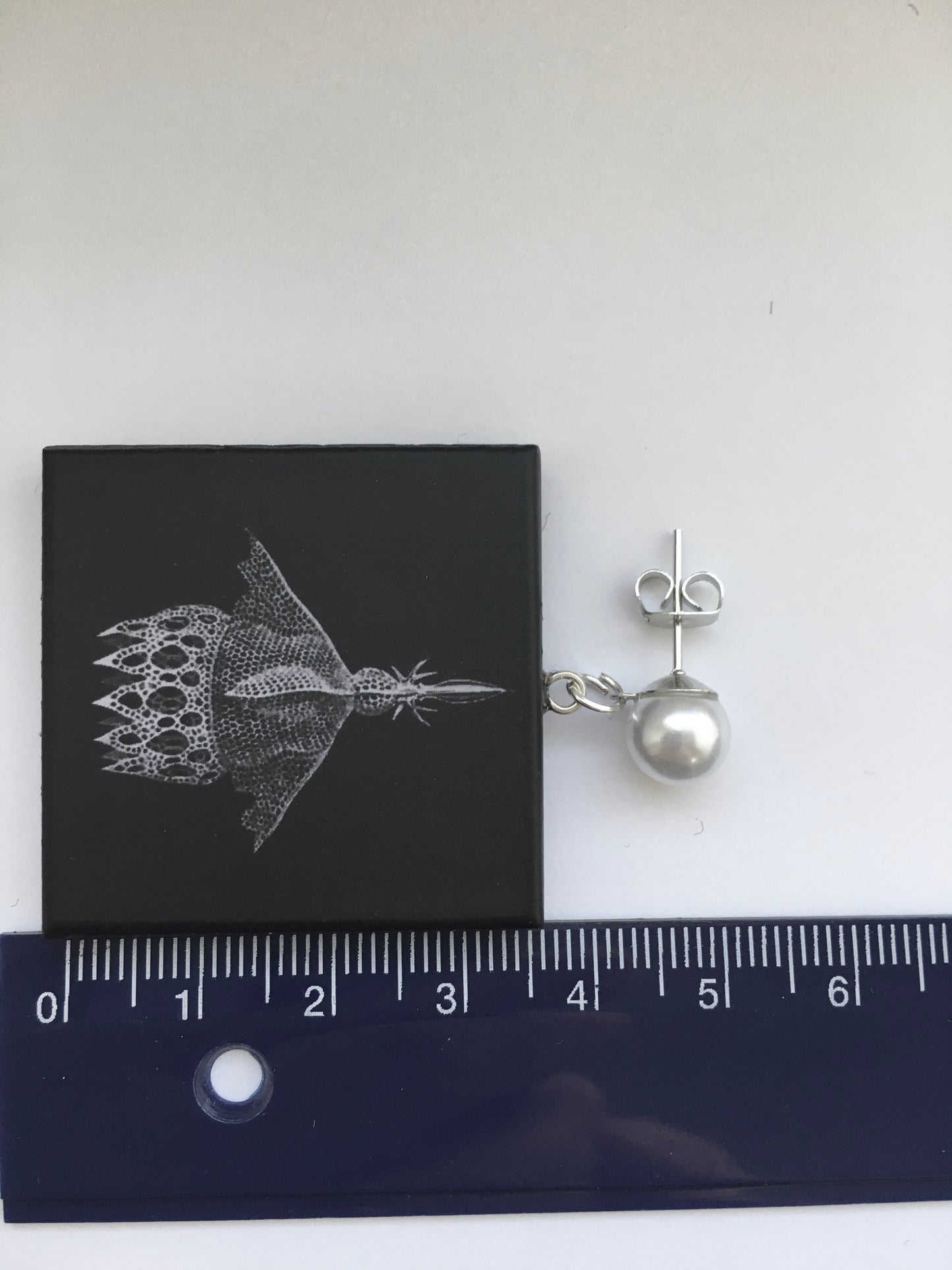 Museum-Inspired Sustainable Earrings Ernst Haeckel art earrings Obljewellery