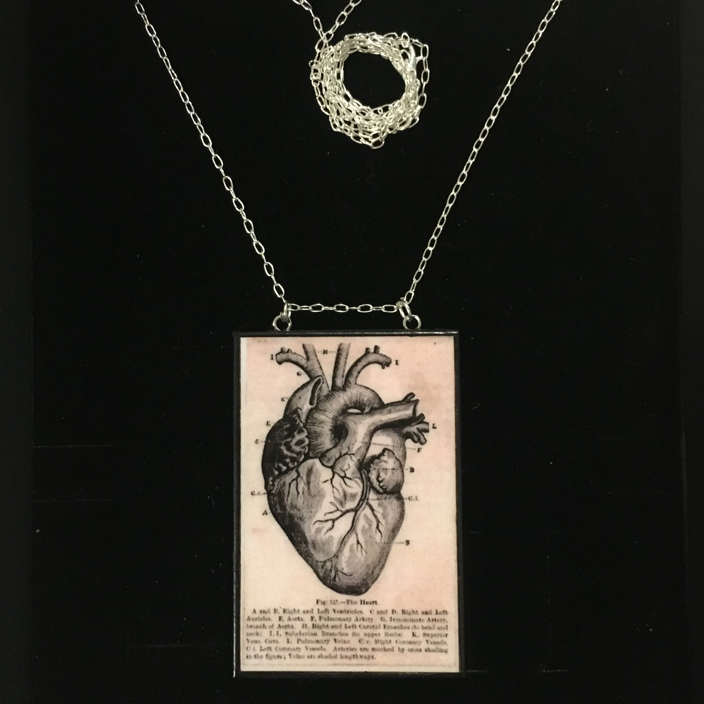 Museum-Inspired Sustainable Necklace Anatomical heart necklace Obljewellery