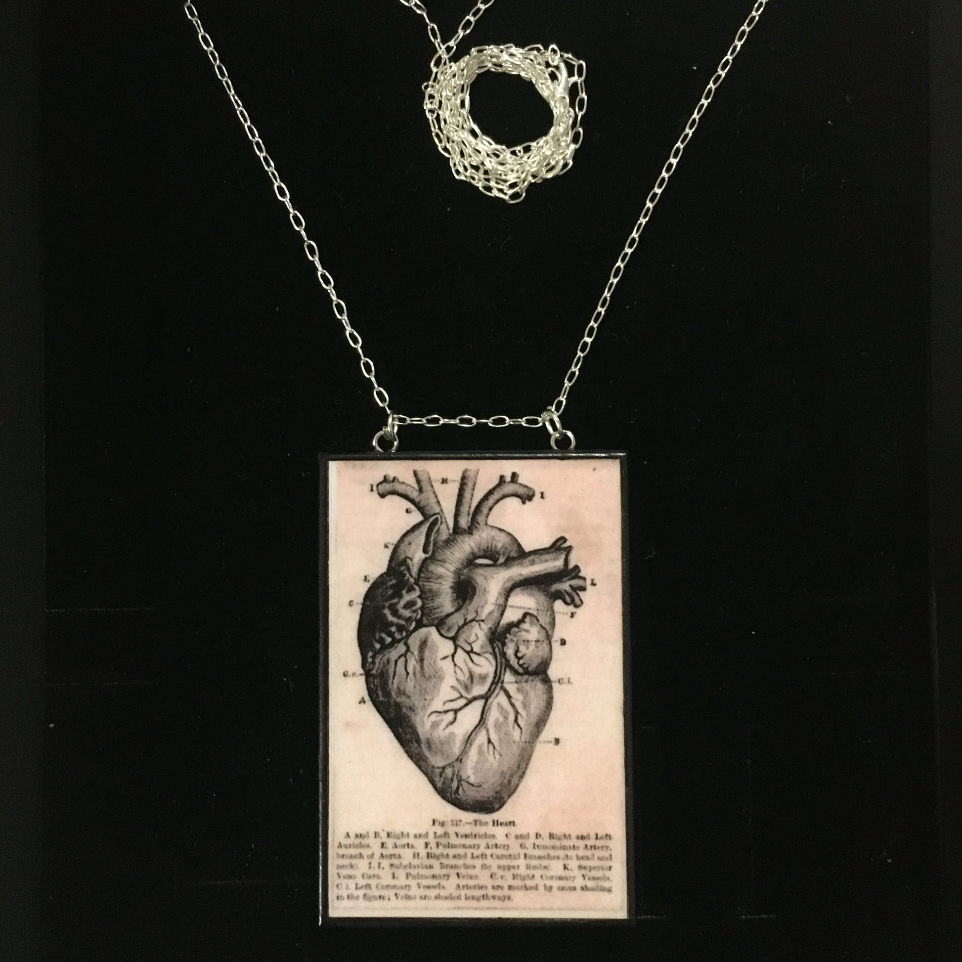Museum-Inspired Sustainable Necklace Anatomical heart necklace Obljewellery