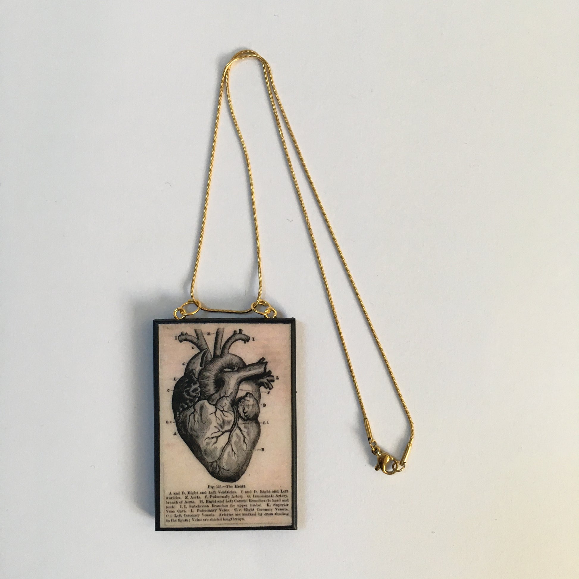 Museum-Inspired Sustainable Necklace Anatomical heart necklace Obljewellery