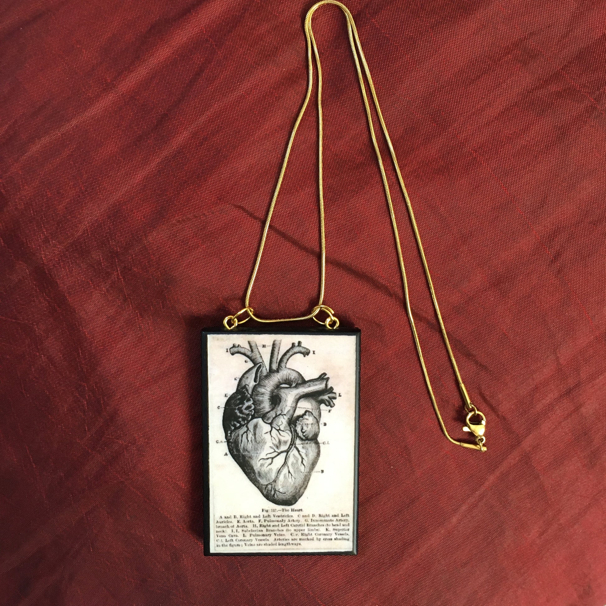 Museum-Inspired Sustainable Necklace Anatomical heart necklace Obljewellery