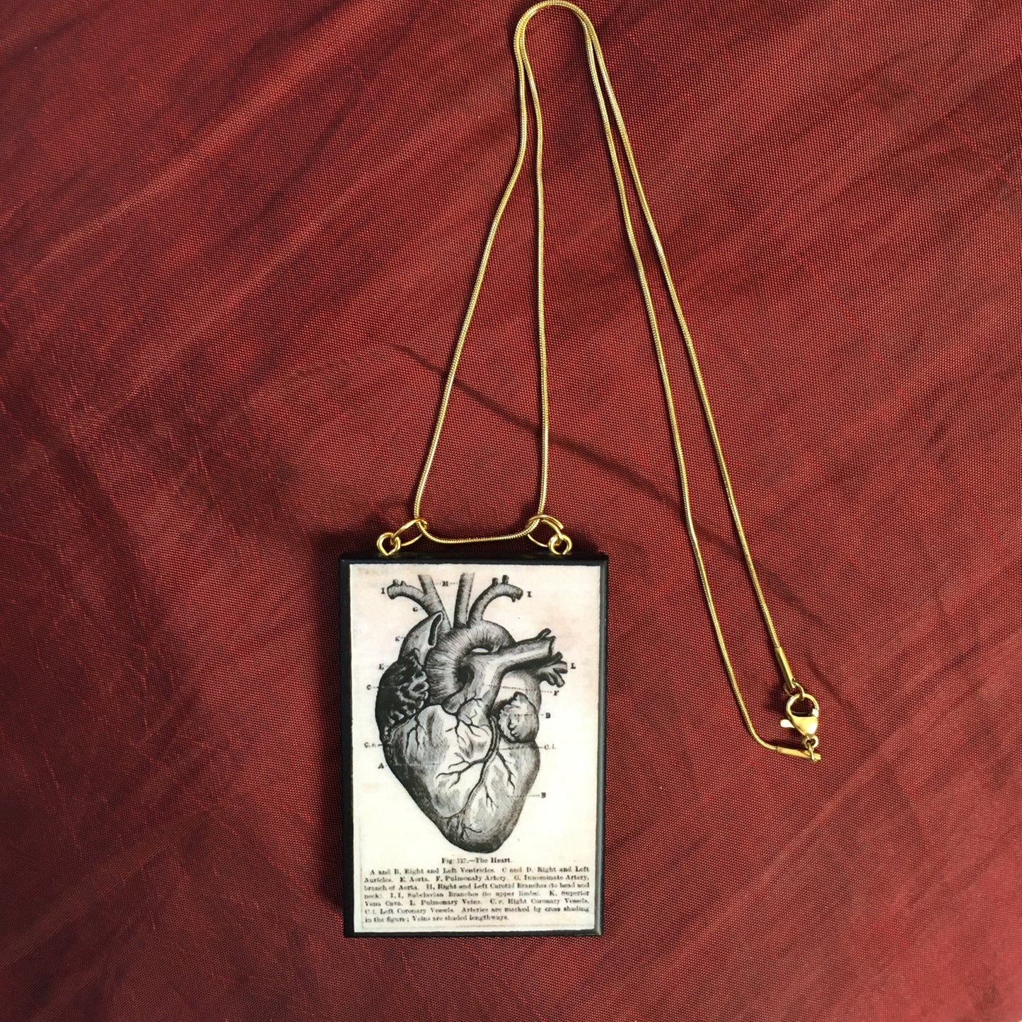 Anatomical heart necklace