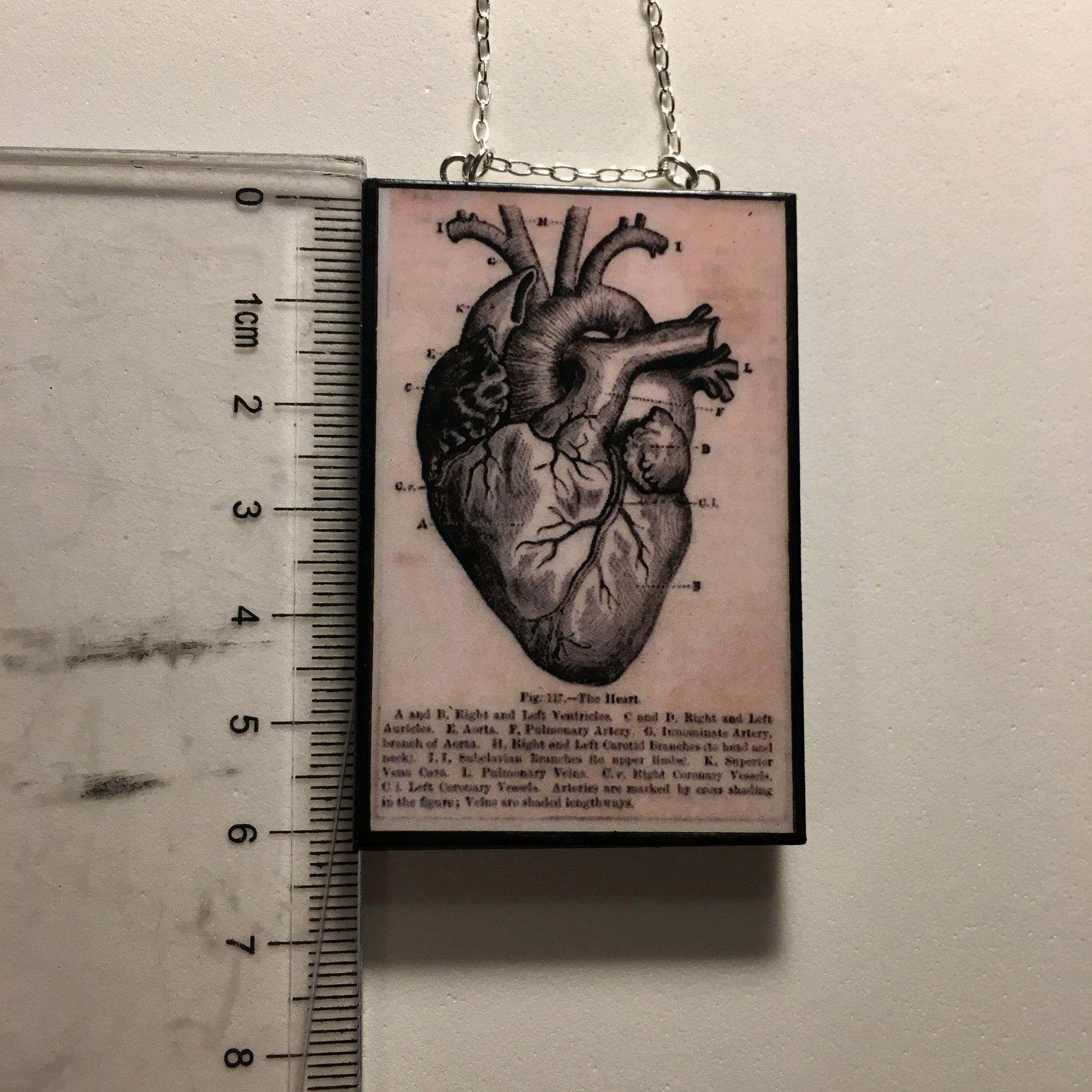 Museum-Inspired Sustainable Necklace Anatomical heart necklace Obljewellery