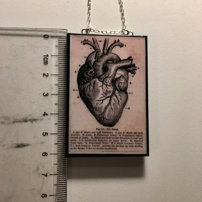 Museum-Inspired Sustainable Necklace Anatomical heart necklace Obljewellery