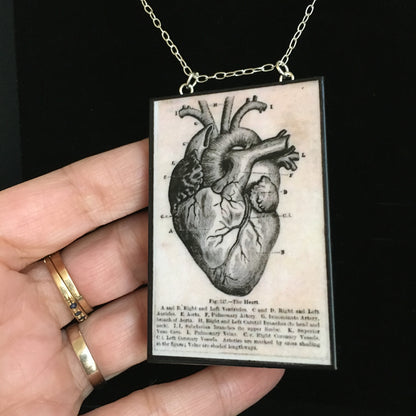 Museum-Inspired Sustainable Necklace Anatomical heart necklace Obljewellery