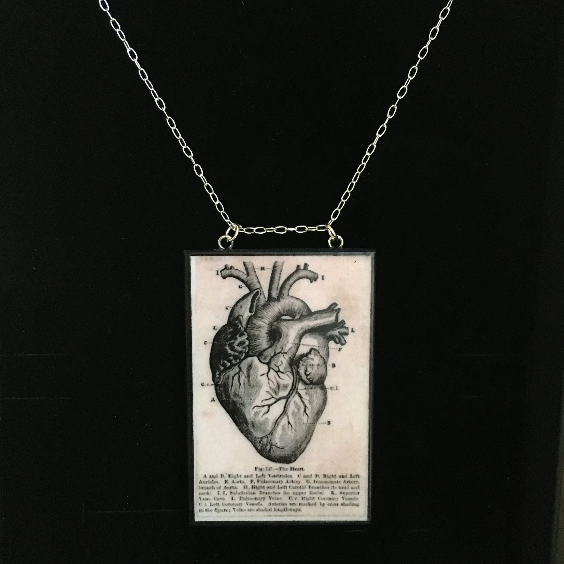 Museum-Inspired Sustainable Necklace Anatomical heart necklace Obljewellery