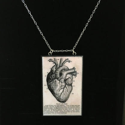 Museum-Inspired Sustainable Necklace Anatomical heart necklace Obljewellery