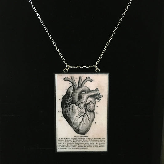 Museum-Inspired Sustainable Necklace Anatomical heart necklace Obljewellery