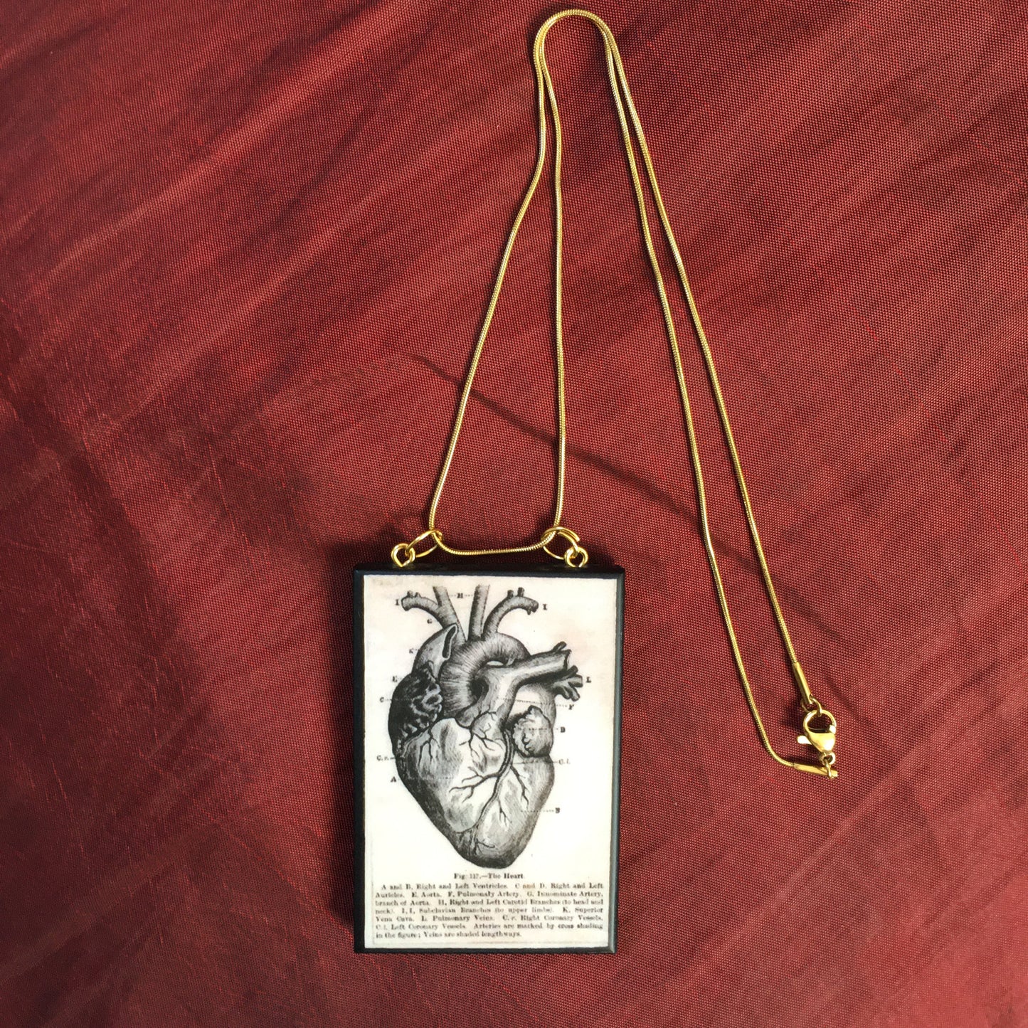 Museum-Inspired Sustainable Necklace Anatomical heart necklace Obljewellery