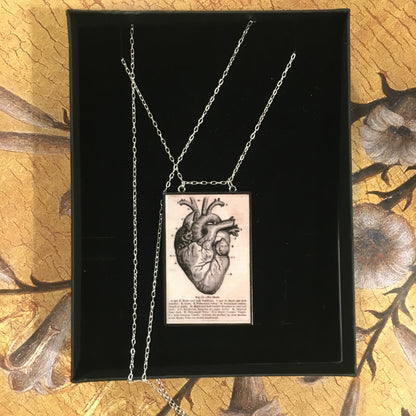 Museum-Inspired Sustainable Necklace Anatomical heart necklace Obljewellery